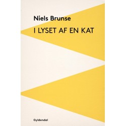 I lyset af en kat