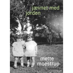 Jævnet med jorden