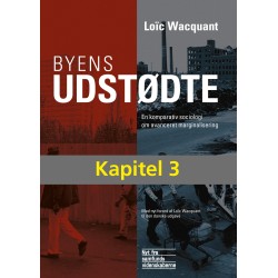 Omkostningerne ved den racemæssige og klassemæssige eksklusion i  Bronzeville