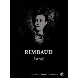 Rimbaud i udvalg