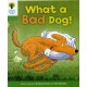 Oxford Reading Tree: Level 2: Stories: What a Bad Dog!