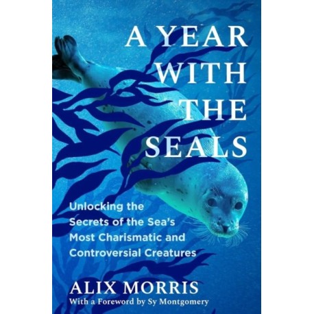 A Year with the Seals: Unlocking the Secrets of the Sea's Most Charismatic and Controversial Creatures