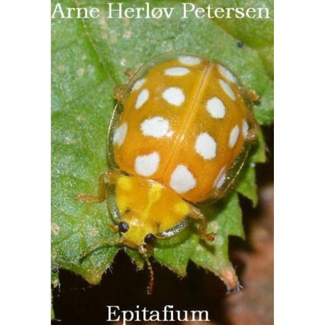 Epitafium