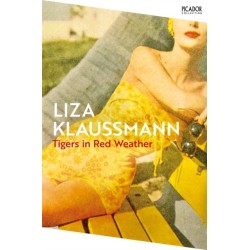 Tigers in Red Weather