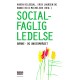 Socialfaglig ledelse: Børne- og ungeområdet
