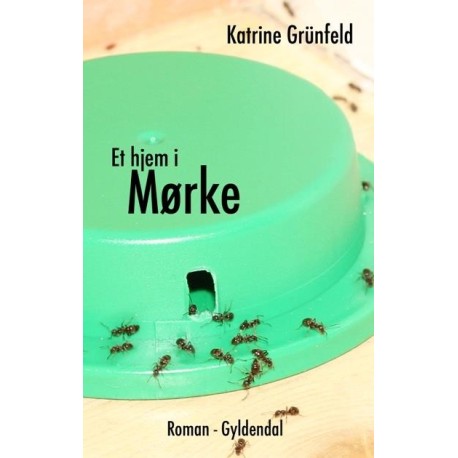 Et hjem i Mørke