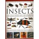 The Illustrated World Encyclopaedia of Insects: A Natural History and Identification Guide to Beetles, Flies, Bees Wasps, Springtails, Mayflies, Stoneflies, Dragonflies, Damselflies, Cockroaches, Mantids, Earwigs ... and Many More