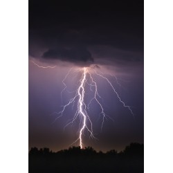 Forvandlingens smerte