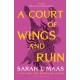 A Court of Wings and Ruin: The third book in the GLOBALLY BESTSELLING, SENSATIONAL series