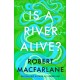 Is a River Alive?