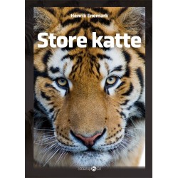 Store katte