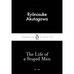 The Life of a Stupid Man