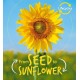 Lifecycles: Seed to Sunflower
