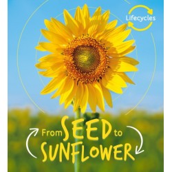 Lifecycles: Seed to Sunflower