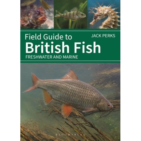 Field Guide to British Fish: Freshwater and Marine