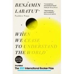 When We Cease to Understand the World