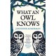 What an Owl Knows: The New Science of the World’s Most Enigmatic Birds