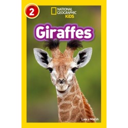 Giraffes: Level 2