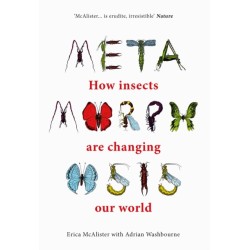 Metamorphosis: How insects are changing our world