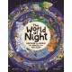 The World at Night: Discover the world that wakes when you sleep