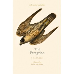 The Peregrine: 50th Anniversary Edition: Afterword by Robert Macfarlane