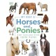 My Book of Horses and Ponies: A Fact-Filled Guide to Your Equine Friends
