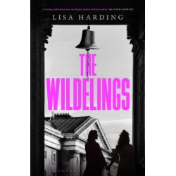 The Wildelings: ‘A deliciously dark psychological mystery’ IRISH TIMES
