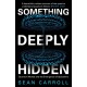 Something Deeply Hidden: Quantum Worlds and the Emergence of Spacetime