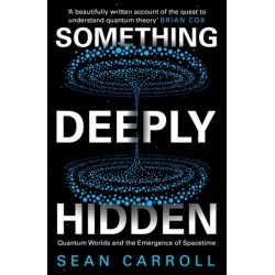 Something Deeply Hidden: Quantum Worlds and the Emergence of Spacetime