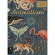 Animalium