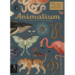Animalium