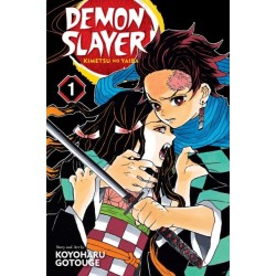 Demon Slayer: Kimetsu no Yaiba, Vol. 1