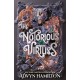 The Notorious Virtues: A glittering new fantasy thriller from the New York Times bestselling author of Rebel of the Sands