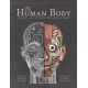 The Human Body: A Pop-Up Guide to Anatomy