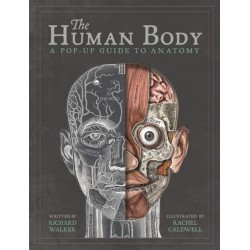 The Human Body: A Pop-Up Guide to Anatomy