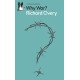Why War?