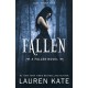 Fallen: Book 1 of the Fallen Series