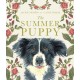 The Summer Puppy