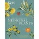 The Gardener's Companion to Medicinal Plants: An A-Z of Healing Plants and Home Remedies