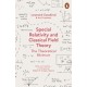 Special Relativity and Classical Field Theory