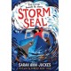 Storm Seal: A seaside story of family and hope