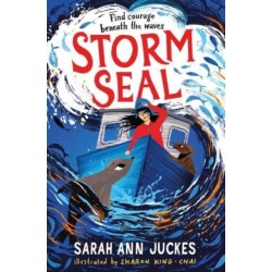 Storm Seal: A seaside story of family and hope