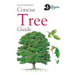 Concise Tree Guide