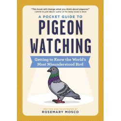 A Pocket Guide to Pigeon Watching: Getting to Know the World's Most Misunderstood Bird