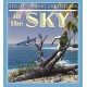 Ten of the Best Adventures in the Sky