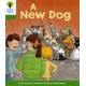 Oxford Reading Tree: Level 2: Stories: A New Dog