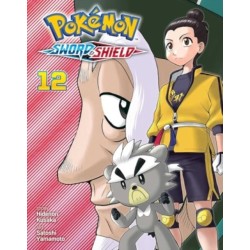 Pokemon: Sword & Shield, Vol. 12