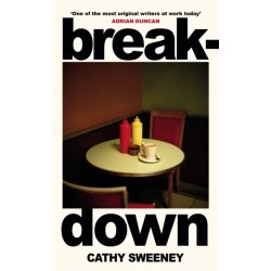 Breakdown: The humane Irish Bestseller about the dark side of modern motherhood