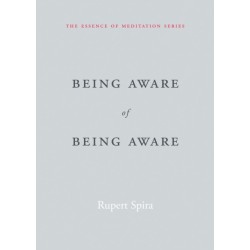 Being Aware of Being Aware: The Essence of Meditation, Volume 1