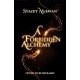 A Forbidden Alchemy: an exhilarating slow burn romantasy of first loves and betrayals